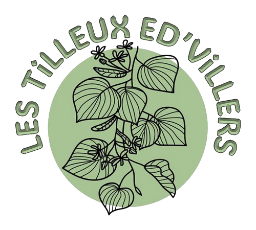 Logo Admin